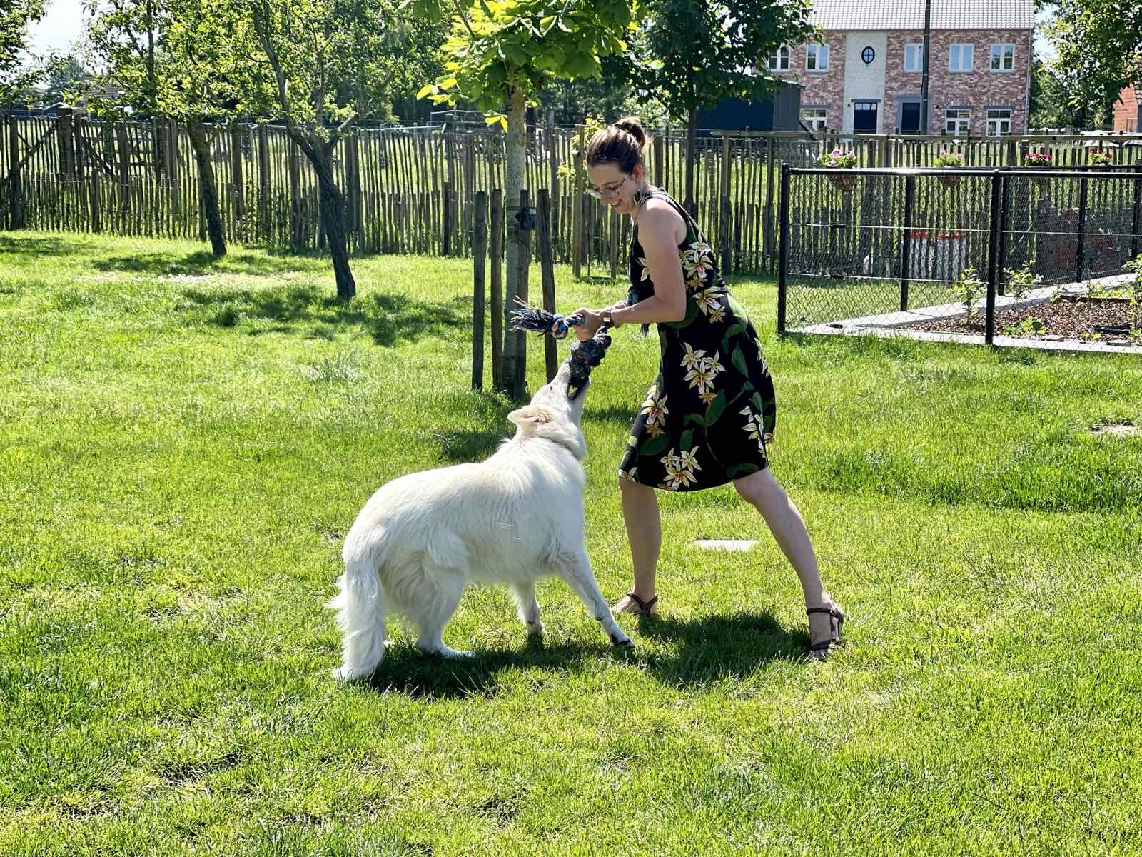 Annelies speelt met een witte herder in het gras