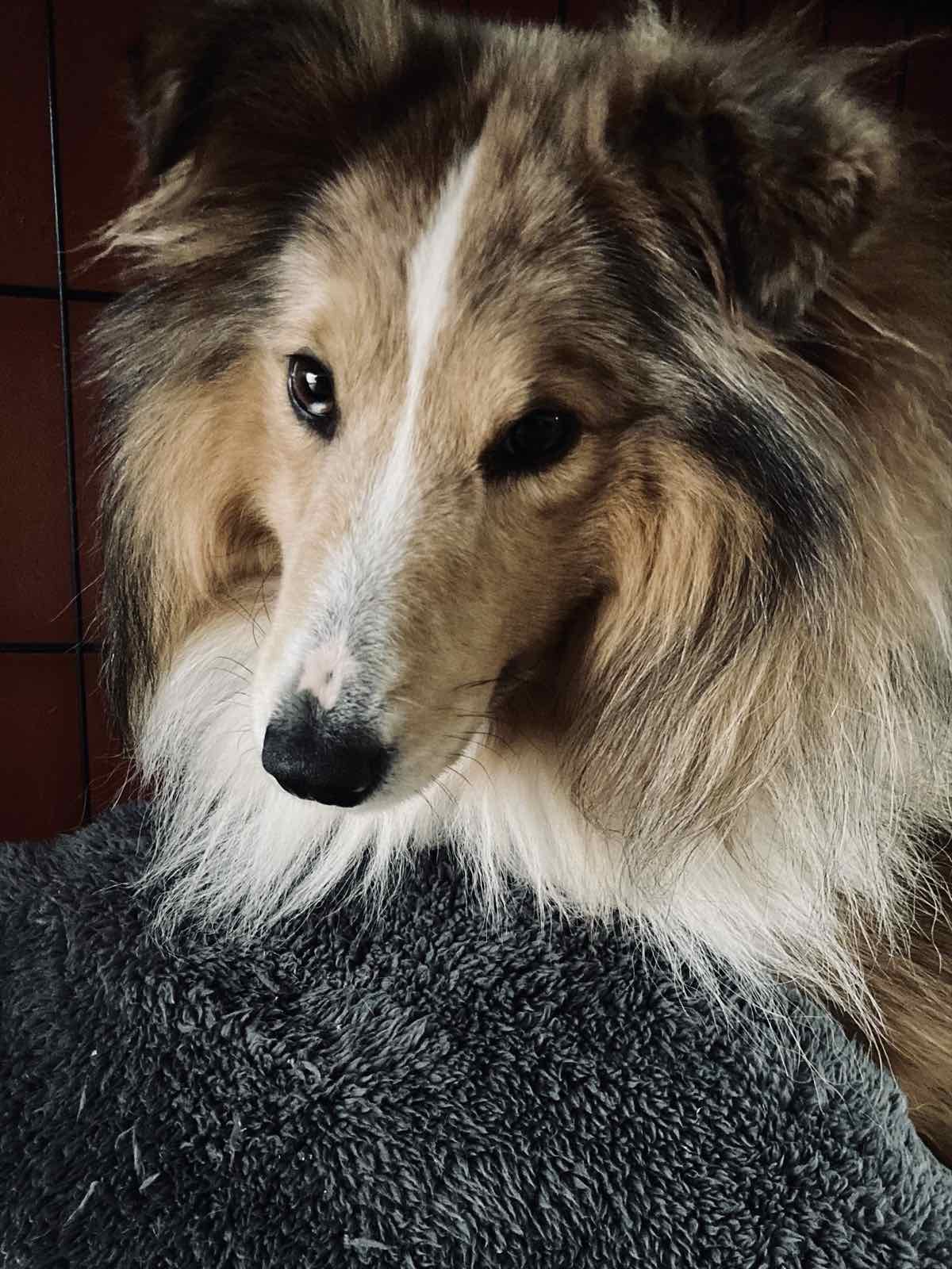 Billie kijkt van dichtbij in de camera