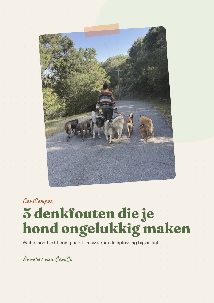 CaniCompas 5 denkfouten die je hond ongelukkig maken