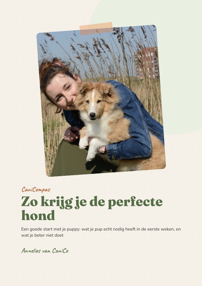 CaniCompas Zo krijg je de perfecte hond